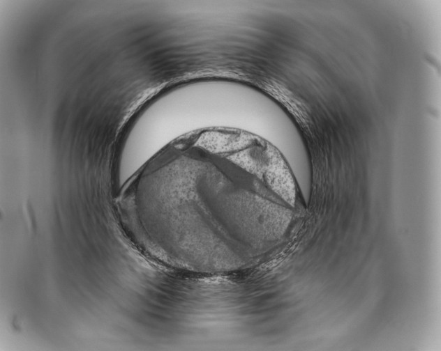 X0000094770112200712071143