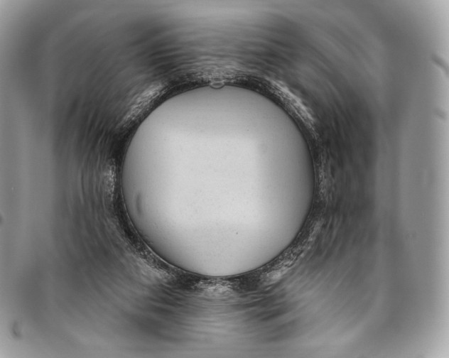 X0000094770113200712071143