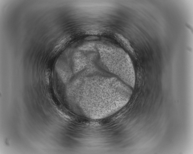 X0000094770114200712071143