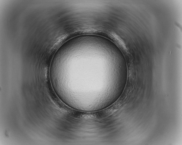 X0000094770115200712071143