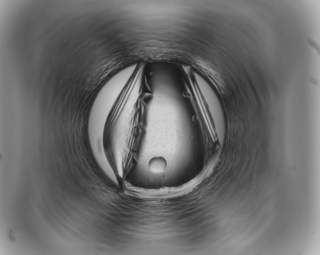 X0000094770121200712071142