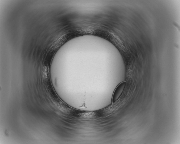 X0000094770122200712071142