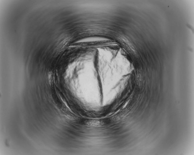 X0000094770123200712071142