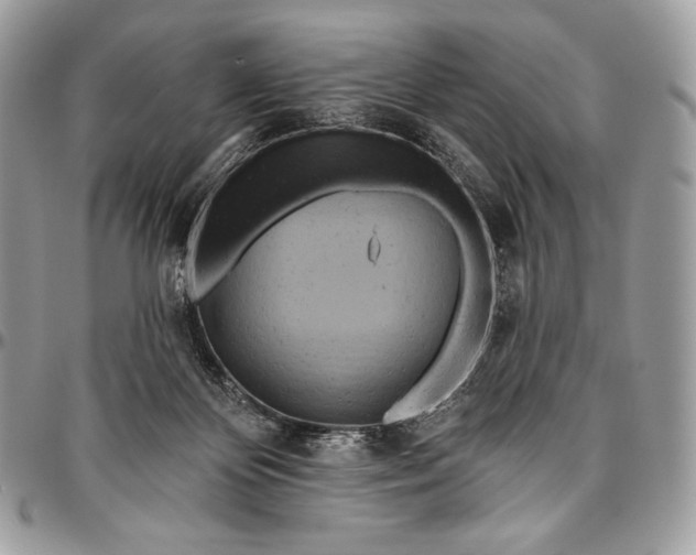 X0000094770124200712071142