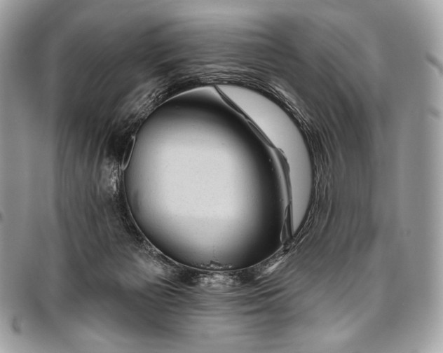 X0000094770125200712071142