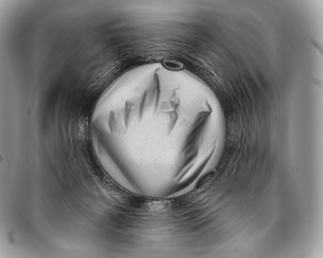 X0000094770126200712071142