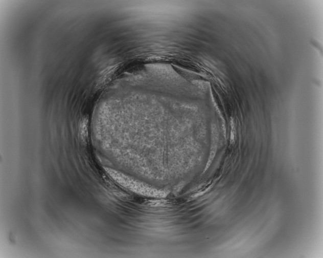 X0000094770127200712071142