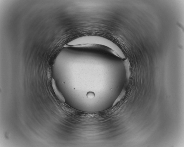 X0000094770129200712071142