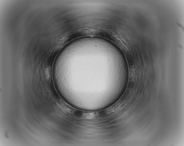 X0000094770131200712071142