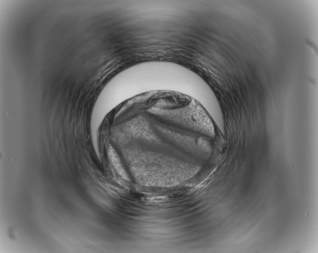 X0000094770132200712071142