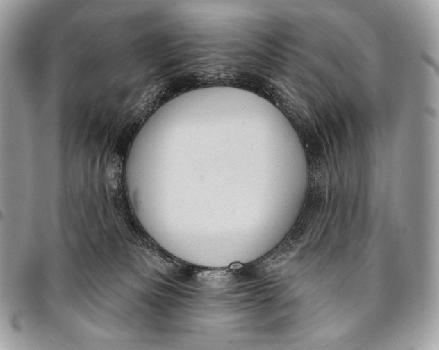 X0000094770133200712071142