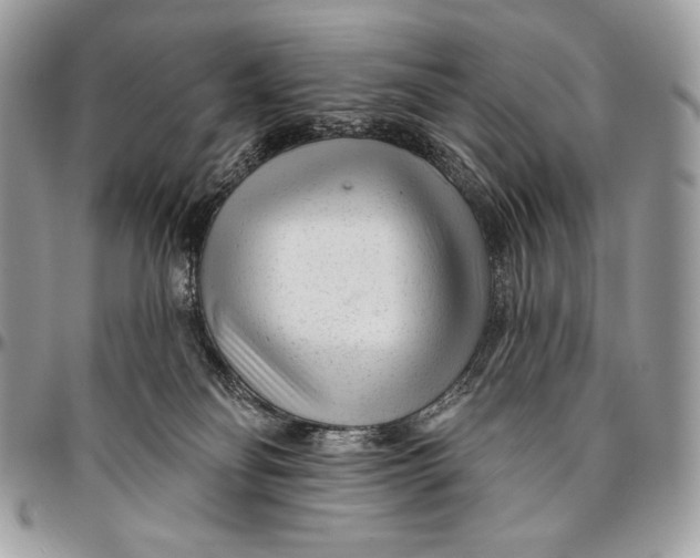 X0000094770134200712071142