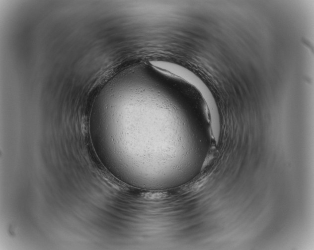 X0000094770135200712071142