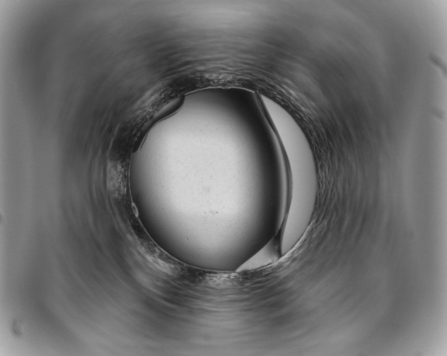 X0000094770136200712071142