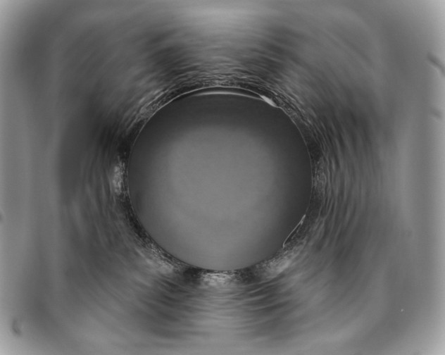 X0000094770139200712071142