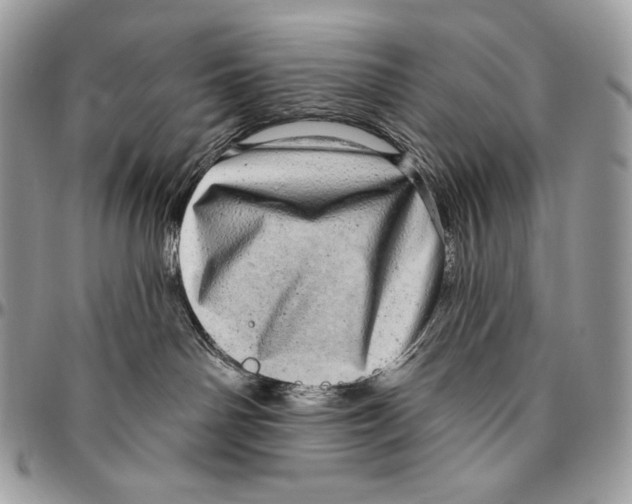 X0000094770142200712071142