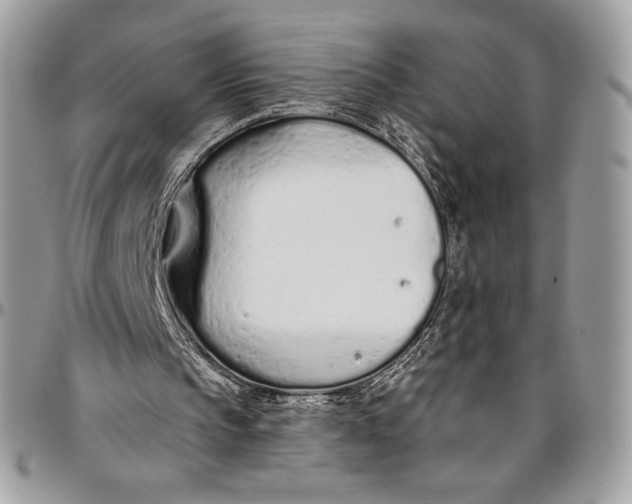 X0000094770145200712071141