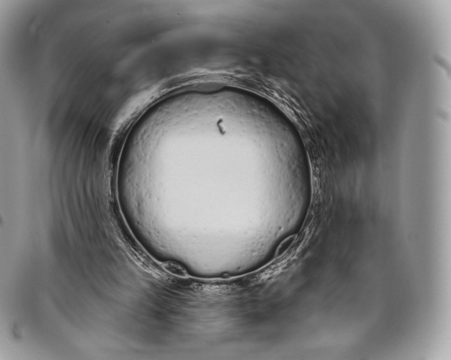 X0000094770149200712071142