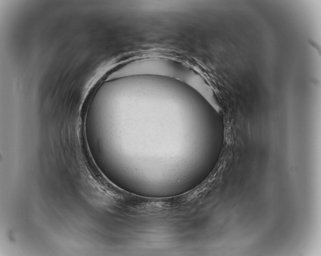 X0000094770152200712071142