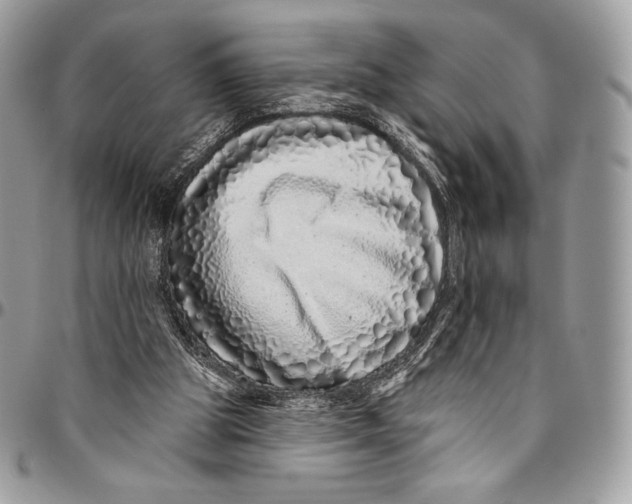 X0000094770153200712071142