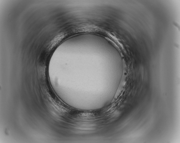 X0000094770154200712071142