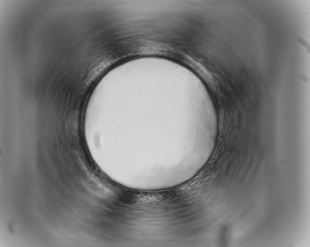 X0000094770155200712071142