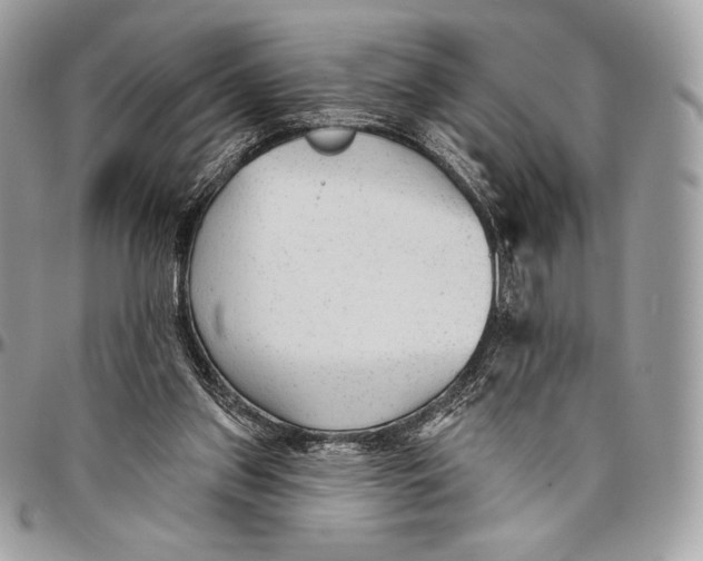 X0000094770157200712071142