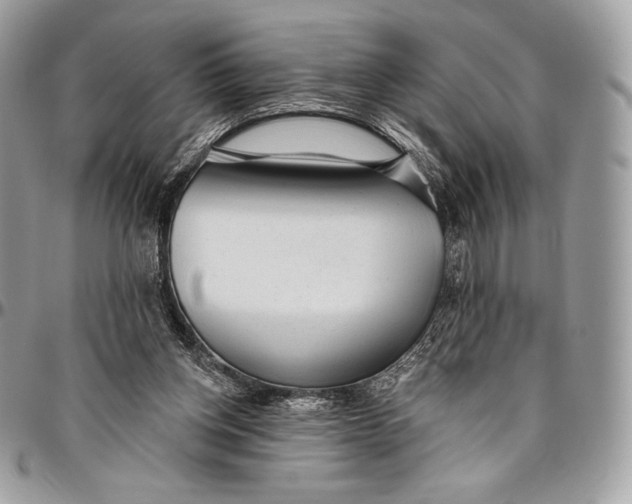 X0000094770158200712071142