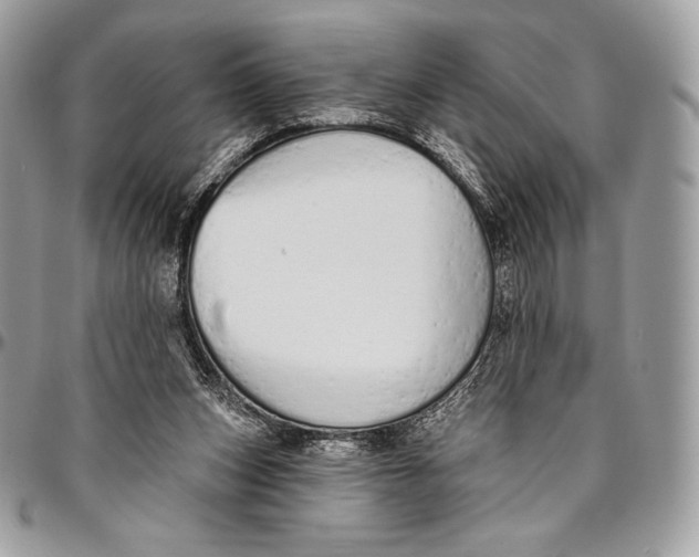 X0000094770159200712071142