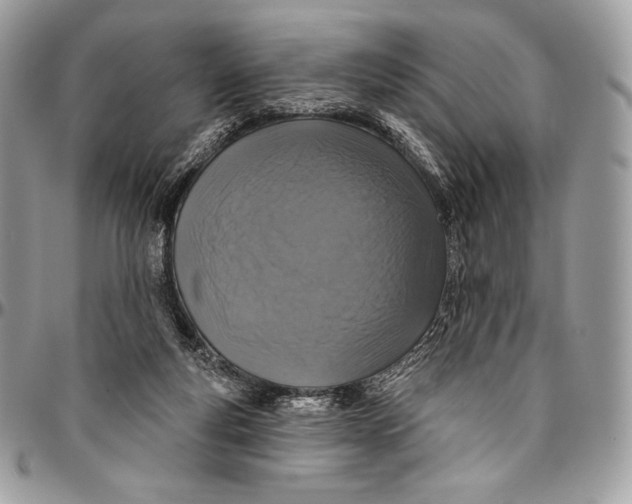 X0000094770163200712071142