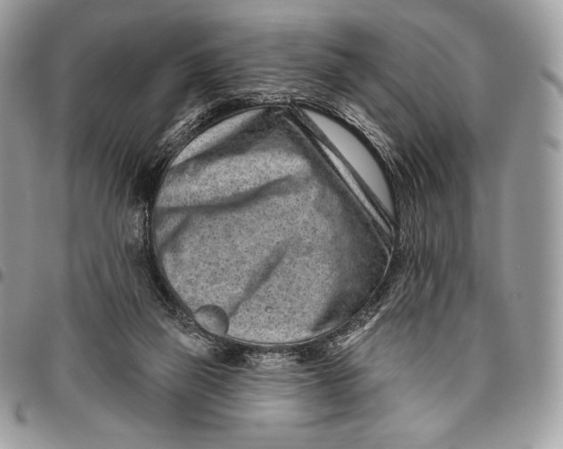 X0000094770165200712071142