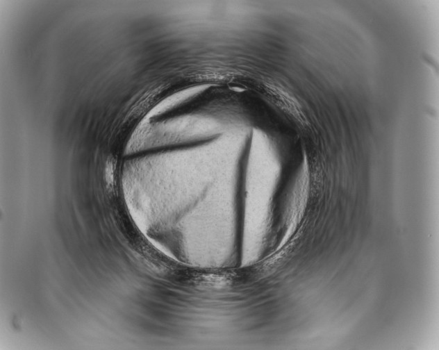 X0000094770166200712071142