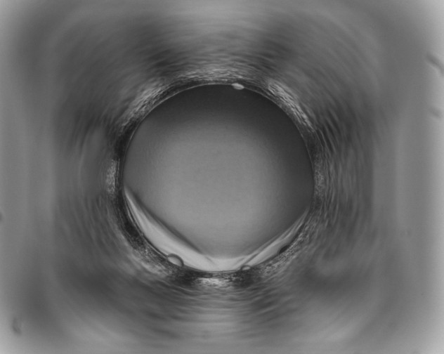 X0000094770167200712071142