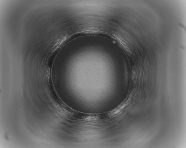 X0000094770168200712071142