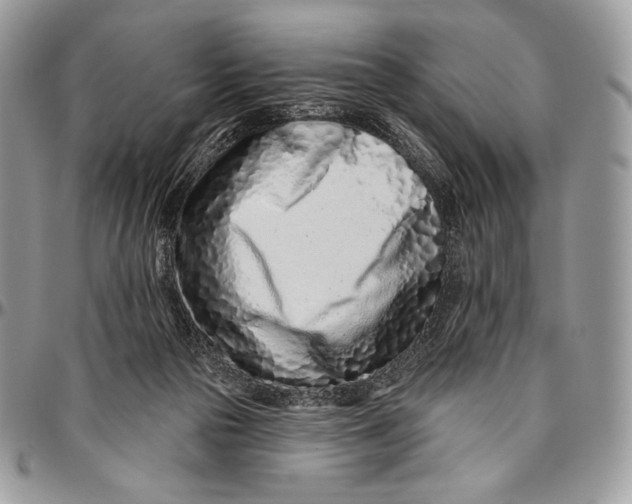 X0000094770169200712071142