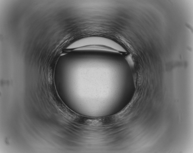 X0000094770170200712071142