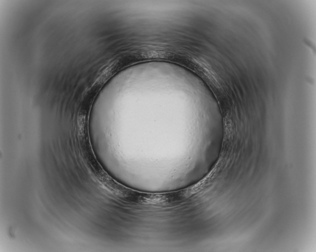 X0000094770171200712071142