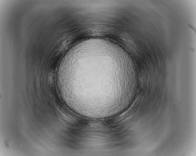 X0000094770175200712071142