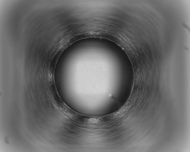 X0000094770176200712071142