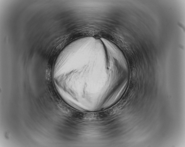 X0000094770177200712071142