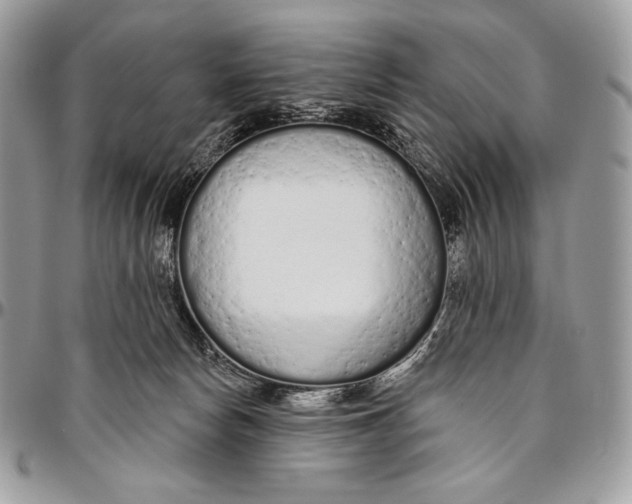 X0000094770178200712071142