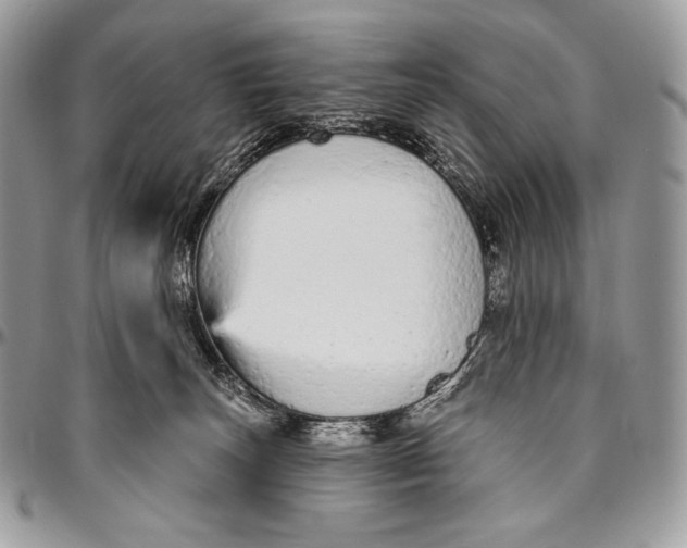 X0000094770179200712071142