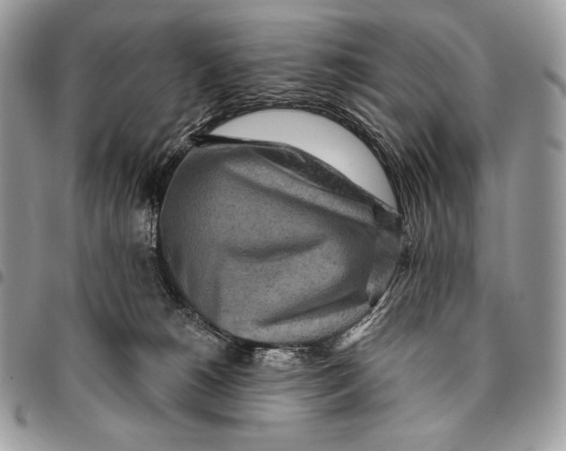 X0000094770180200712071142