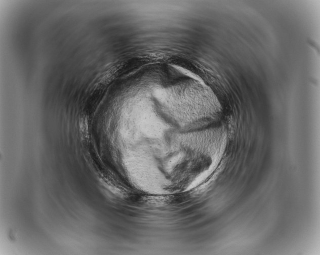 X0000094770182200712071142