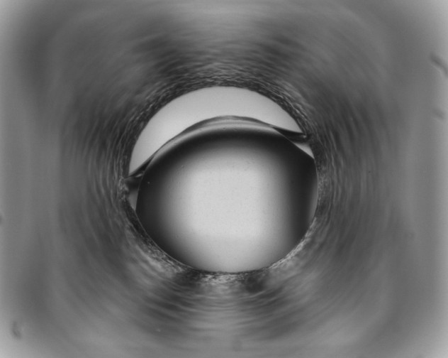 X0000094770186200712071142