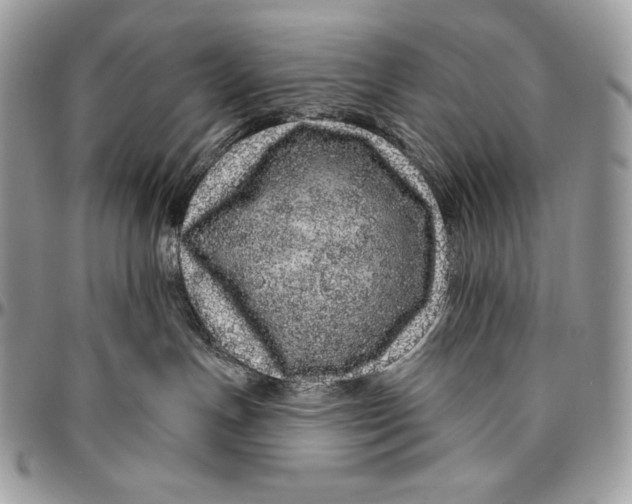 X0000094770191200712071142