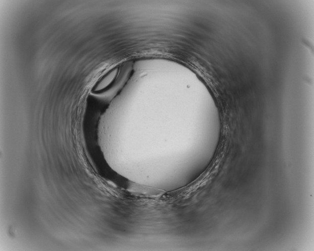 X0000094770193200712071141