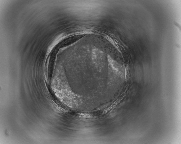 X0000094770195200712071141