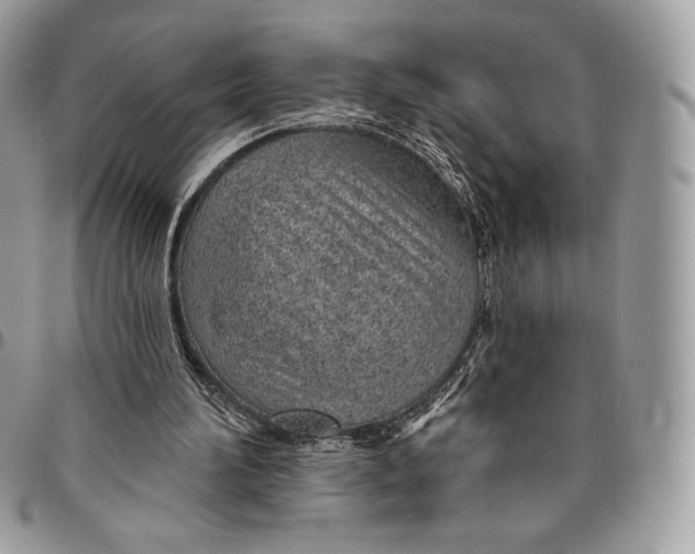 X0000094770196200712071141