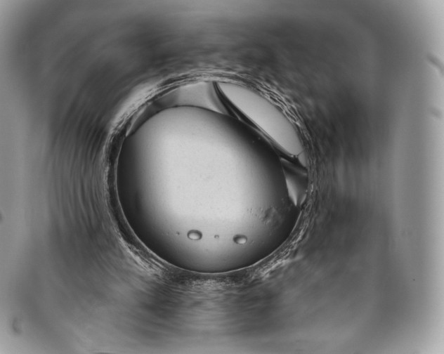 X0000094770197200712071141